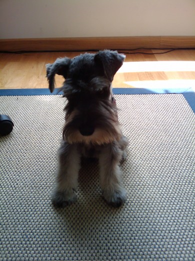aqui tengo 8 meses.
